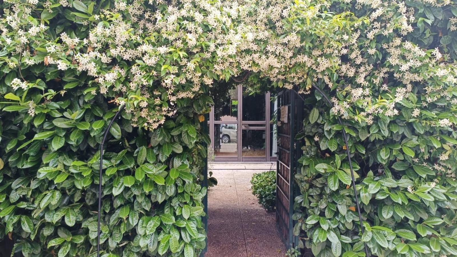 Loftgarden Navigliogrande